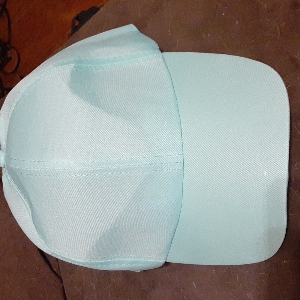 Light blue ball cap nwt.